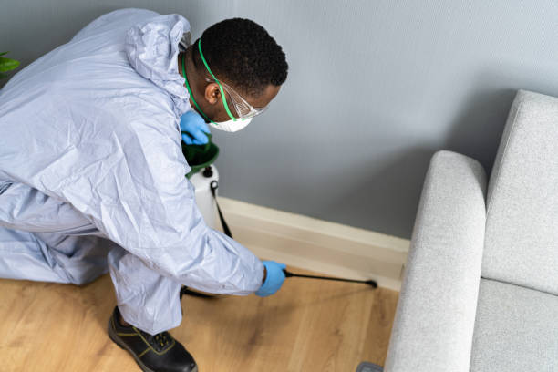 Professional Pest Control in Roslyn, NY